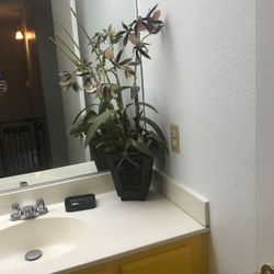Fake Flowers decor