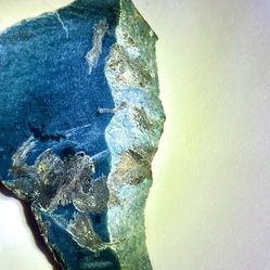 Nephrite Green Jade With Magnetite Hematite from California Slab Slice 50g