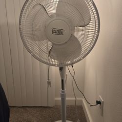 Black & Decker 16" Oscillating Fan