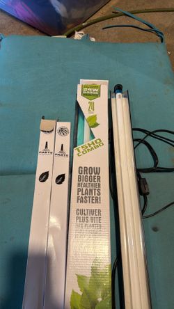 UV lights