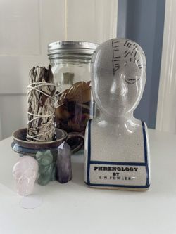 Ceramic Phrenology Head Bust - L.N. Fowler Oddities Decor