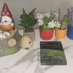 Nature Decor Set/Movie