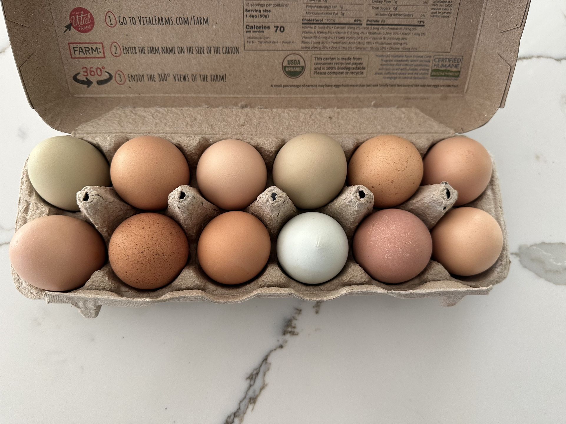 Fresh Eggs