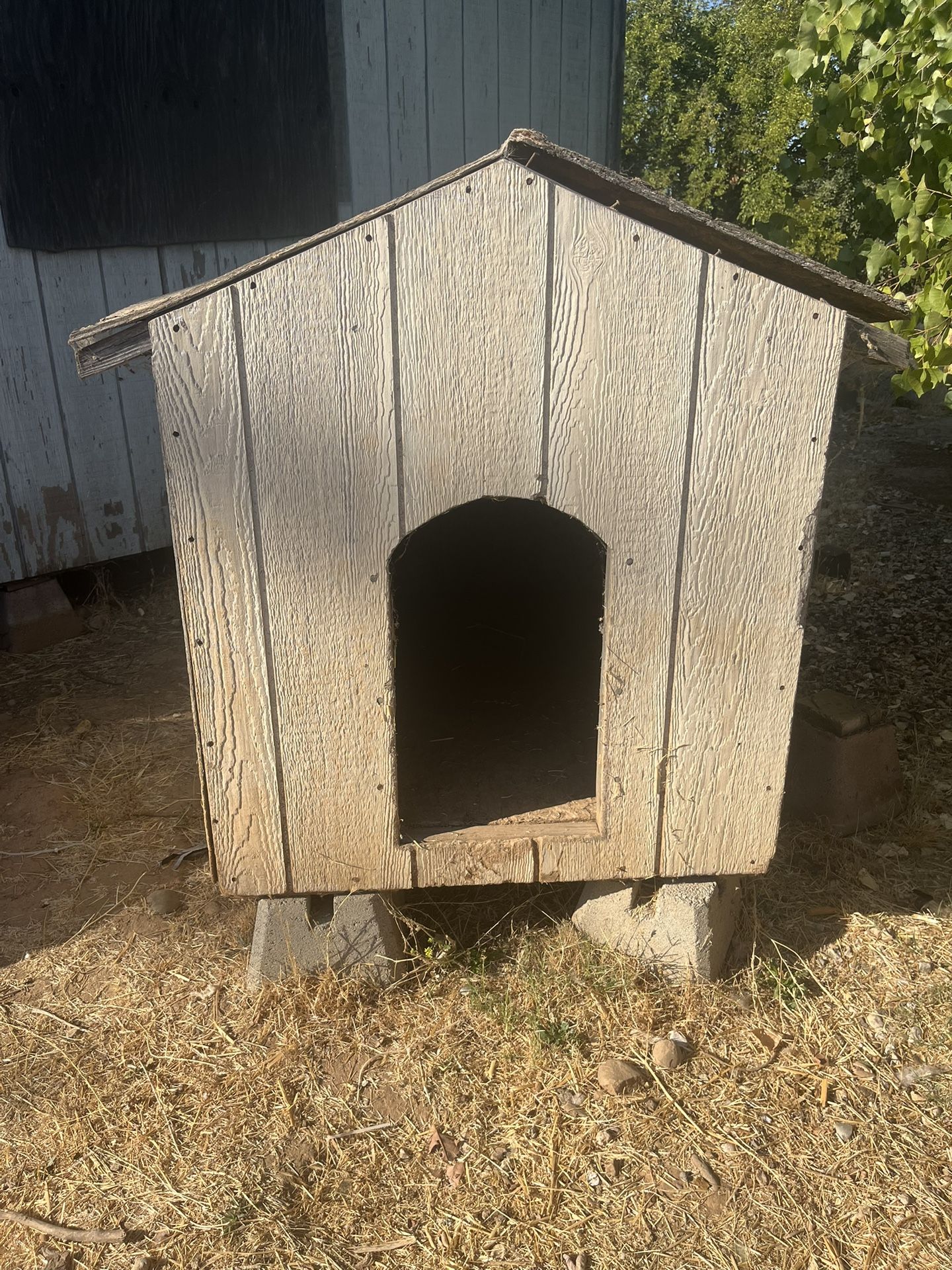 Dog House