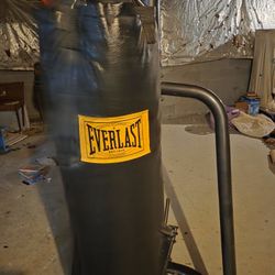 Punching Bag And Stand