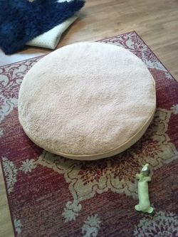 New Big Dog Bed 