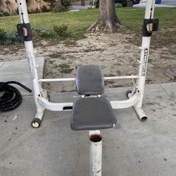 Weight Bench