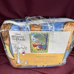 Winnie The Pooh Twin