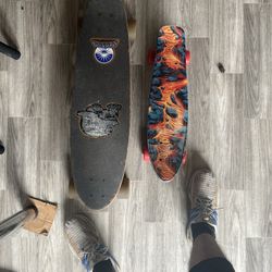 Oisin Penny Board And Sector Skateboard 