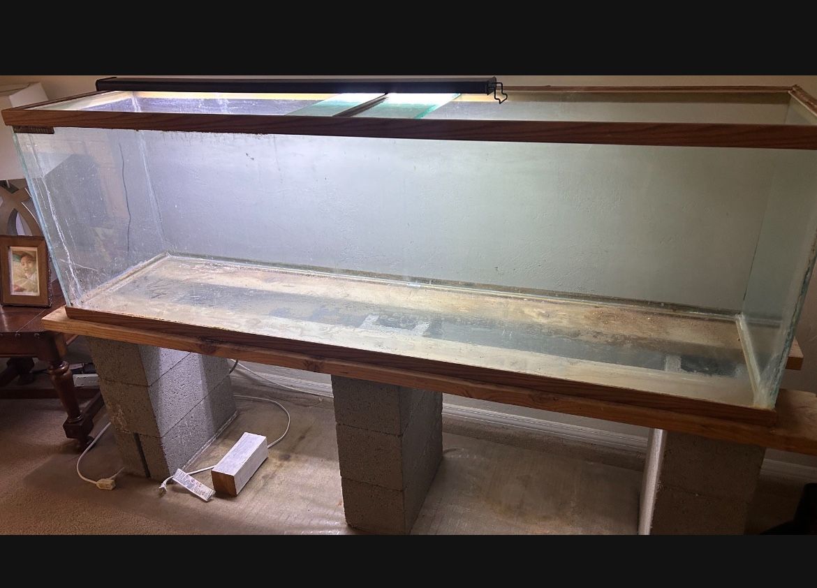 Aquarium/reptile Tank