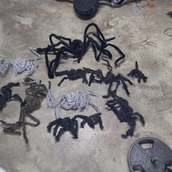 Halloween Spiders - Lot