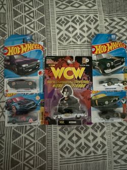 Raceing champions
