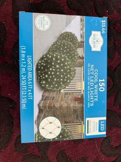 150 cool white net led lights