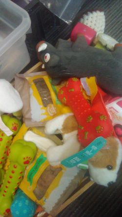 Dog toys