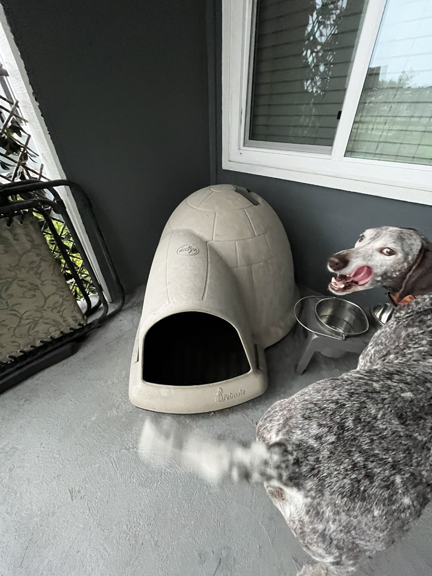 Dog Igloo - Lightly Used