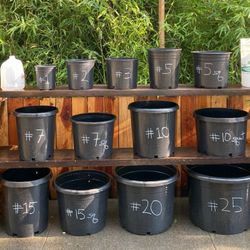 Nursery Pots ~ For Pickup in Davis