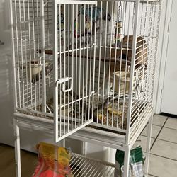 Bird Cage