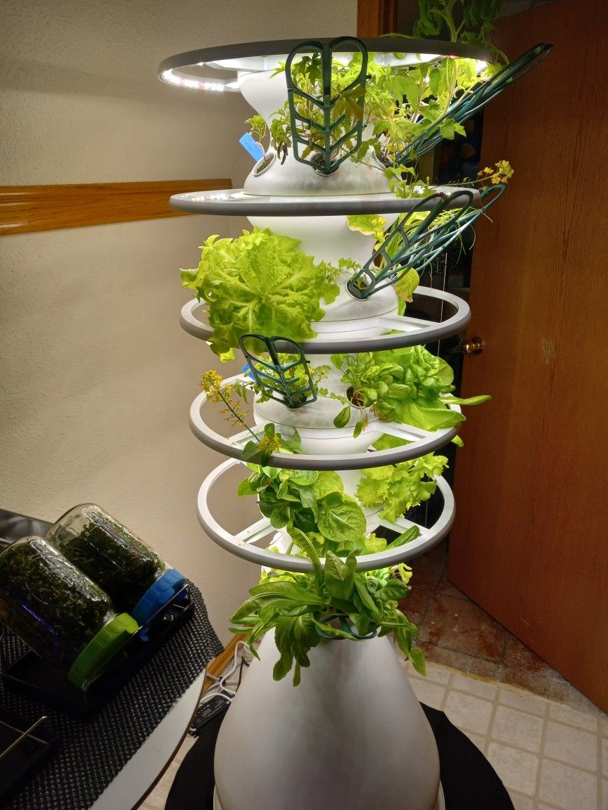 Grow System