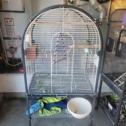 Bird Cage 