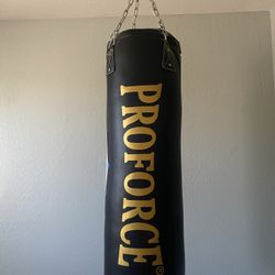 proforce punching bag