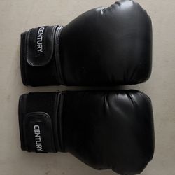 16oz Boxing gloves 