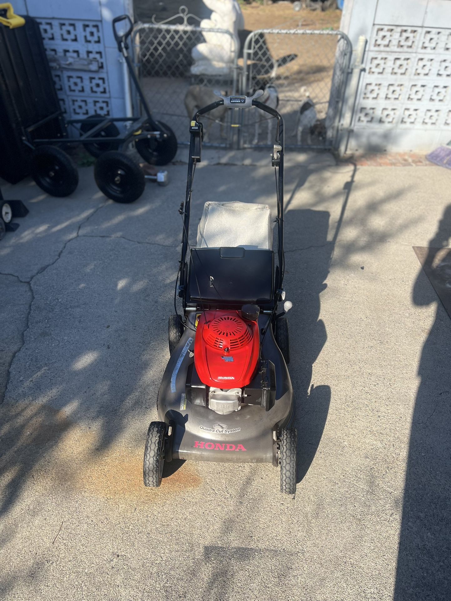 Honda gas-powered lawn mower