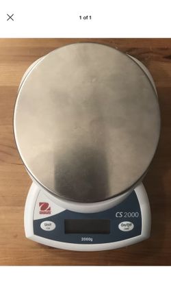 Scale