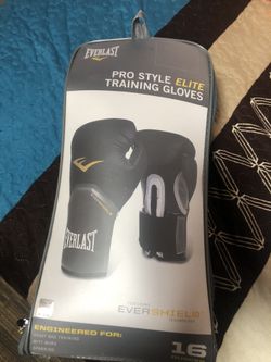 Everlast Boxing Gloves