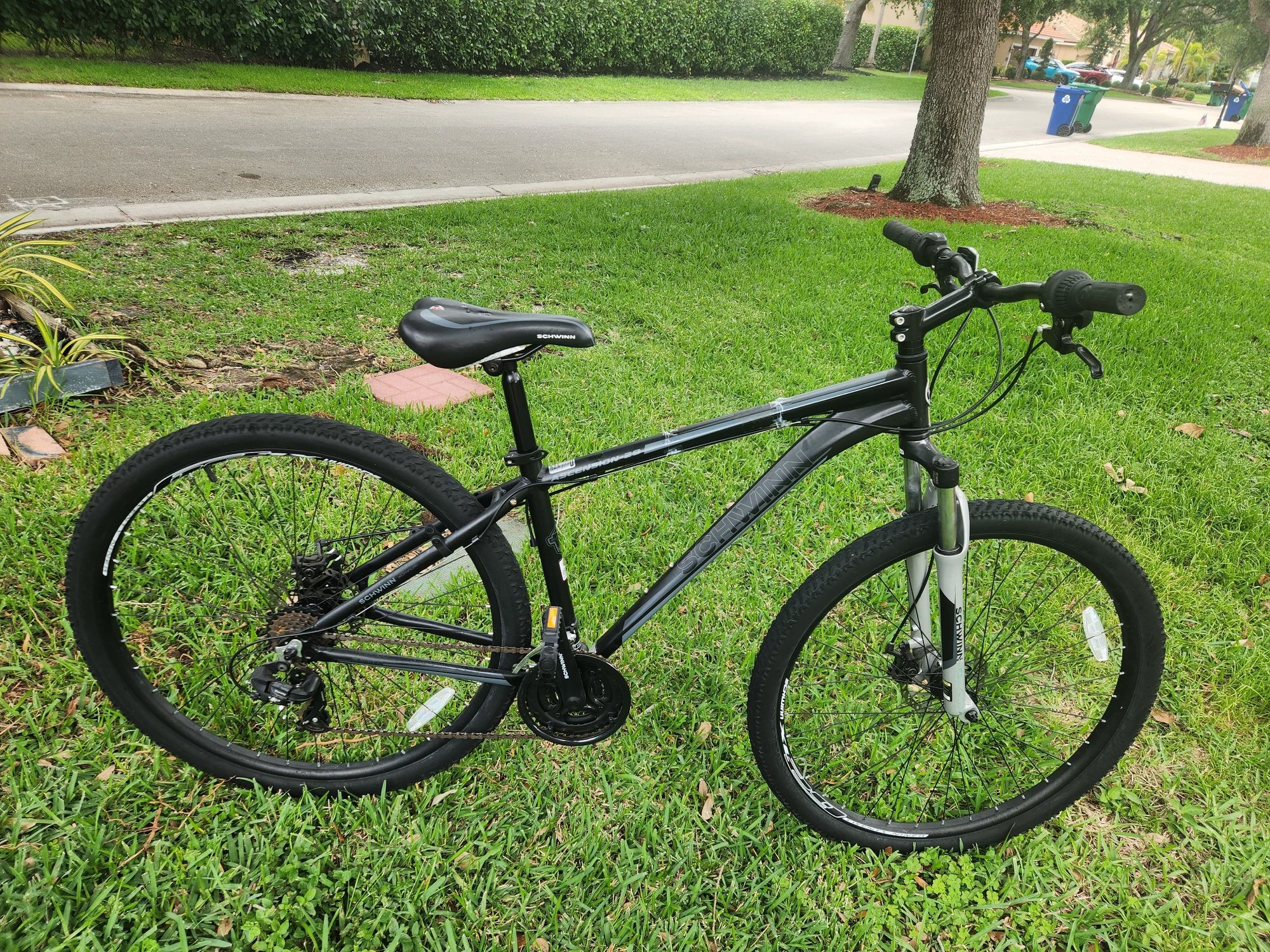Schwinn Ascension Bike