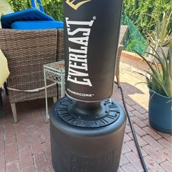 Everlast Punching Bag