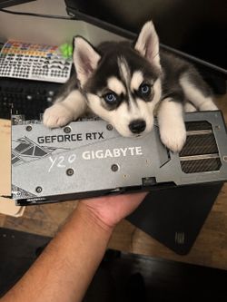 Rtx 3060 OC