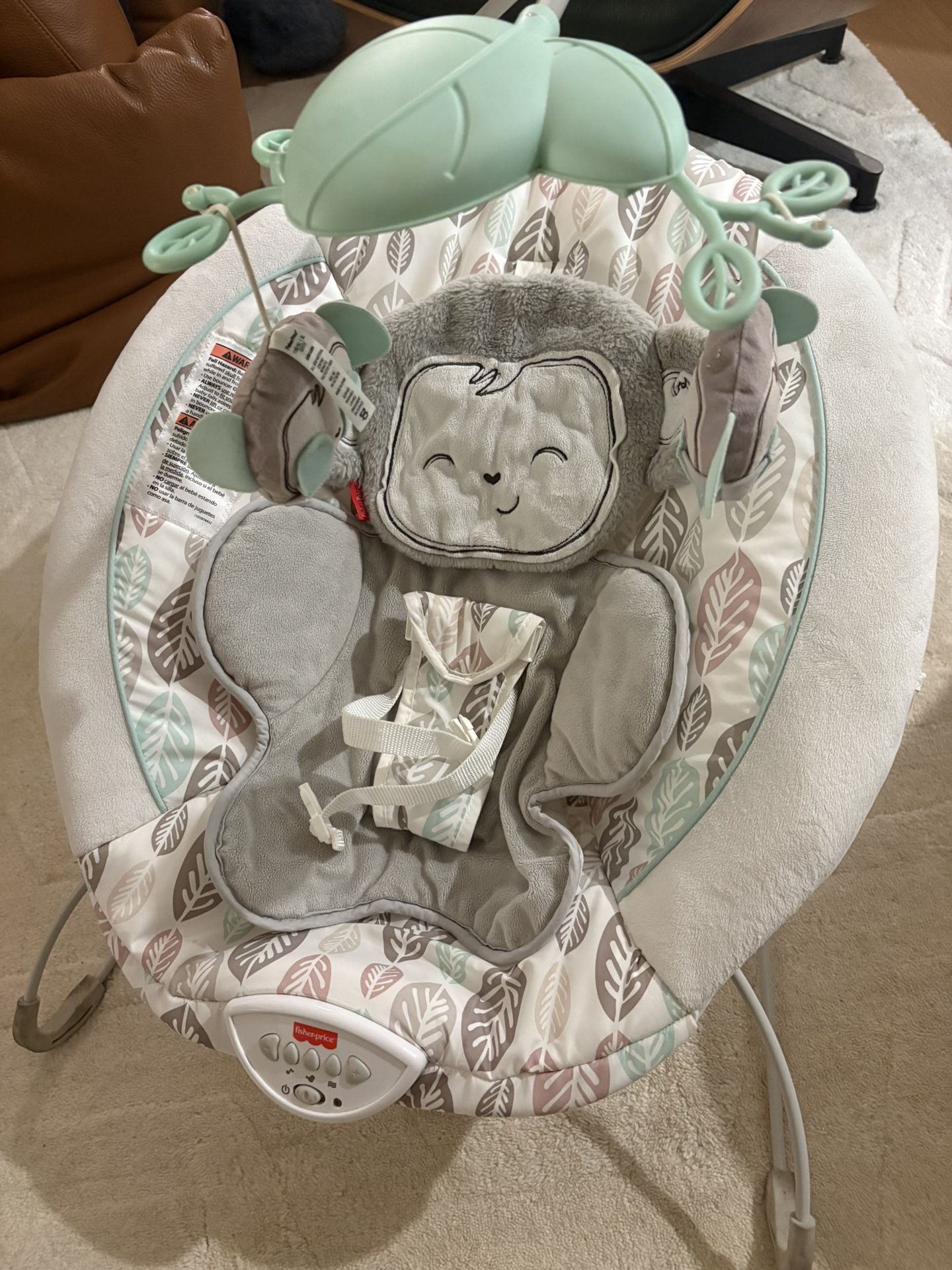 Baby Bouncer