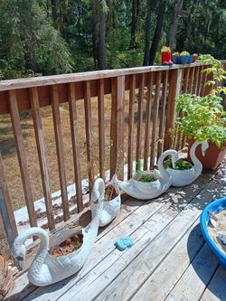 Swan  planters (4)