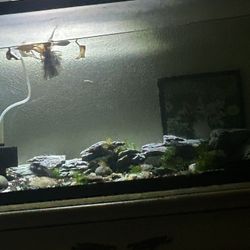 50 gallon fish thank
