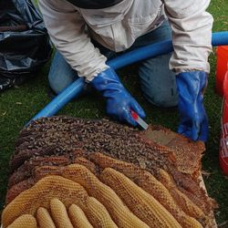 Profesional En All Sandiego County.