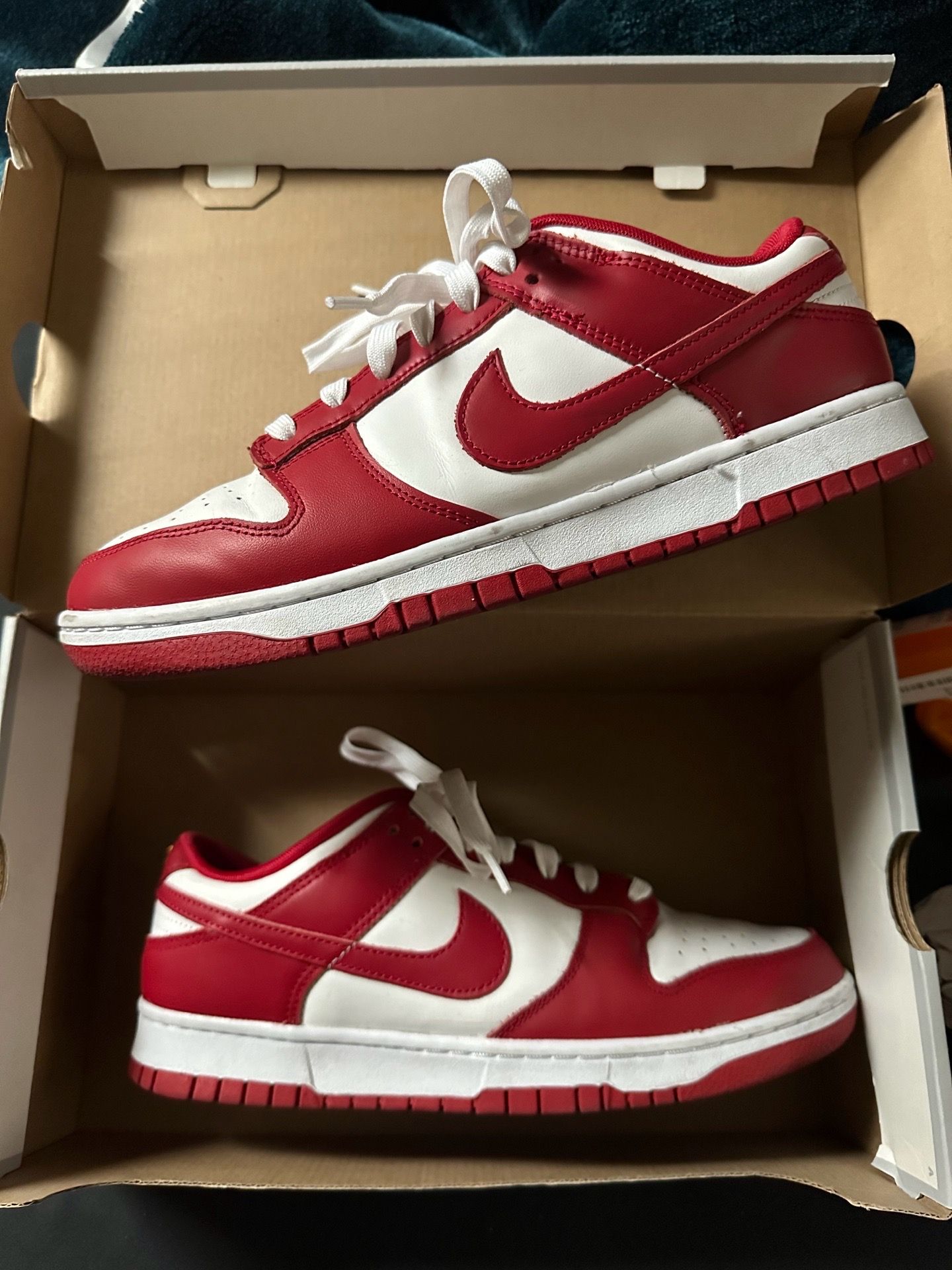 Nike dunk gym red