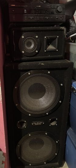 Radio And Pro Studio 14 Inch Speaker