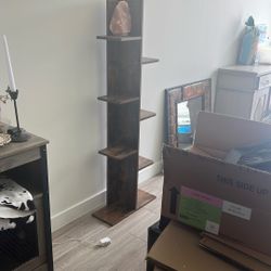 Skinny Book Shelf