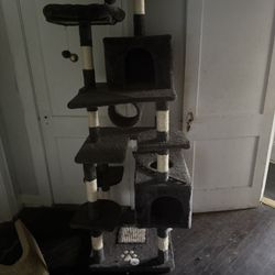 Cat Tree