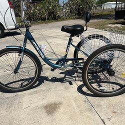 Adult Tricycle 