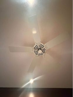 Ceiling Fan