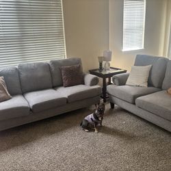 Two Couch Set