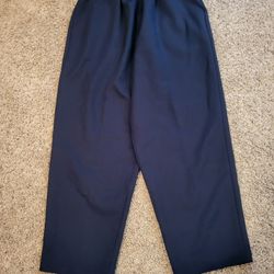Women 18 Briggs black dress pants elastic waist Lot D
