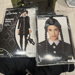 Wednesday Costume And Wig 