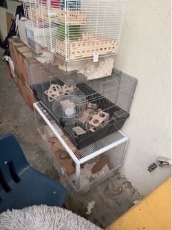 3 hamster cages + supplies + bedding