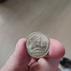 Anna Wong Quarter