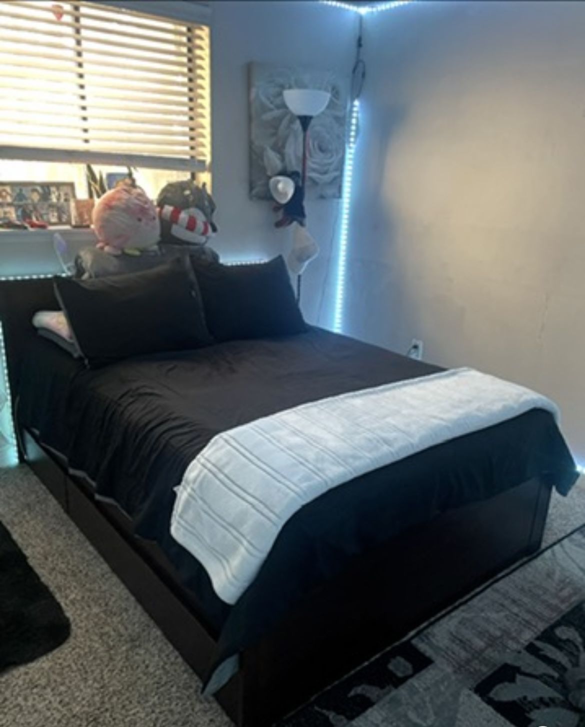 Queen Bed! Cama Queen!