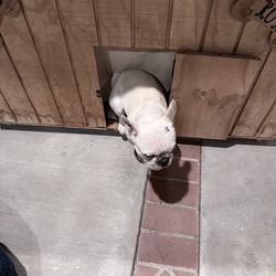 Rustic Custom Small table solid wood