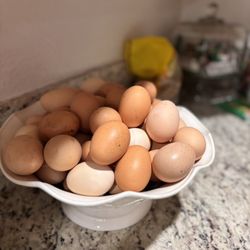 organic eggs /dz