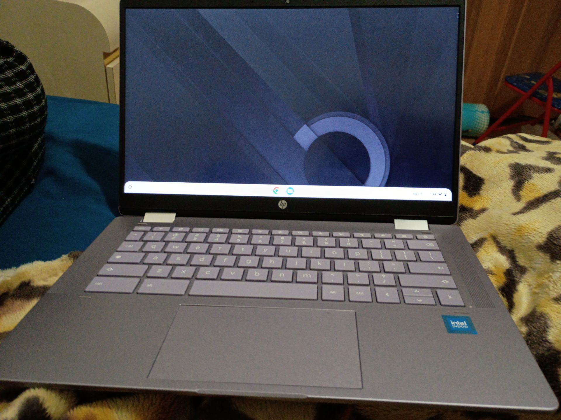 Chromebook hp laptop